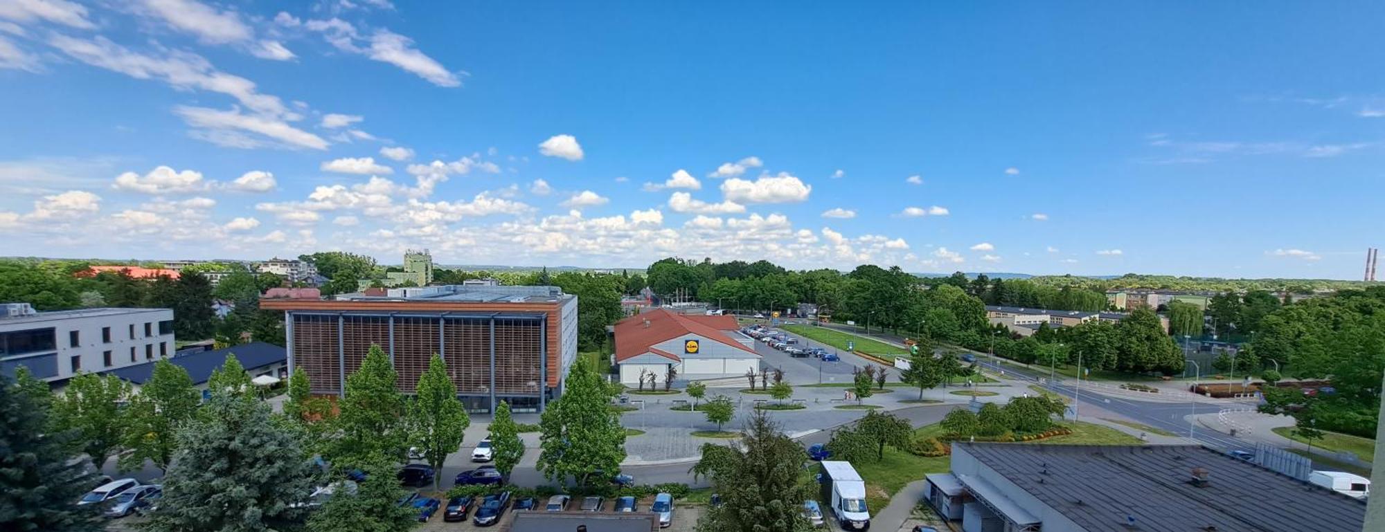 Green Apartament 21 Auschwitz Buitenkant foto